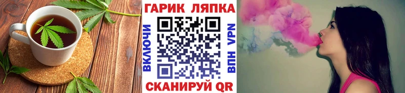Canna-Cookies марихуана  Элиста 
