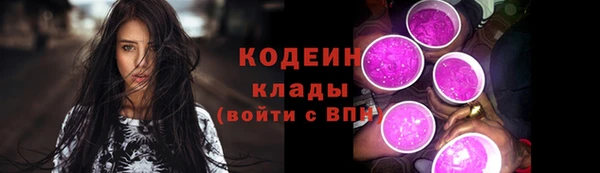 метадон Няндома