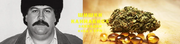 хмурый Нягань