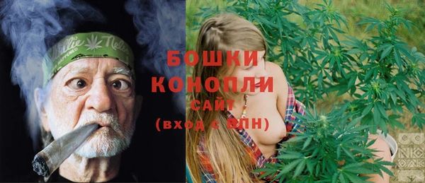 метадон Няндома