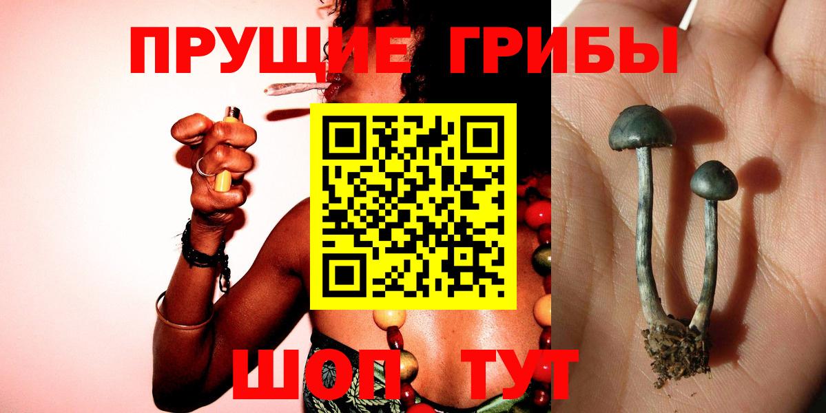 Псилоцибиновые грибы мицелий  Вход с VPN  Элиста 