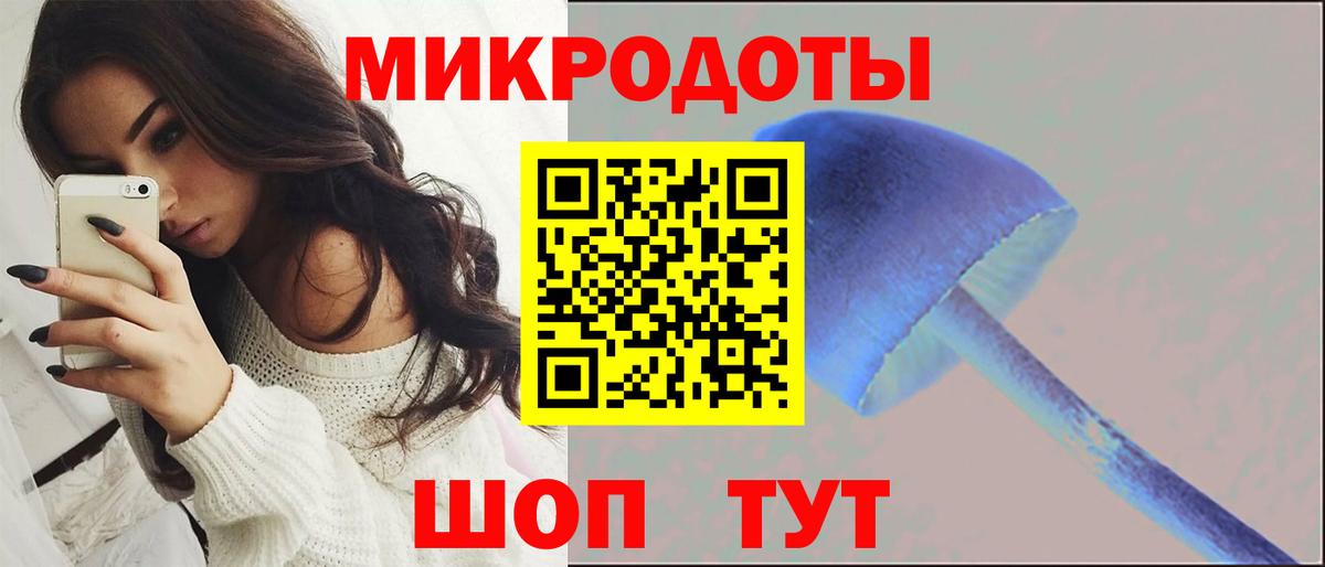 Галлюциногенные грибы Cubensis Элиста