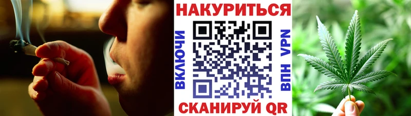 Бошки Шишки THC 21%  даркнет сайт  Элиста 